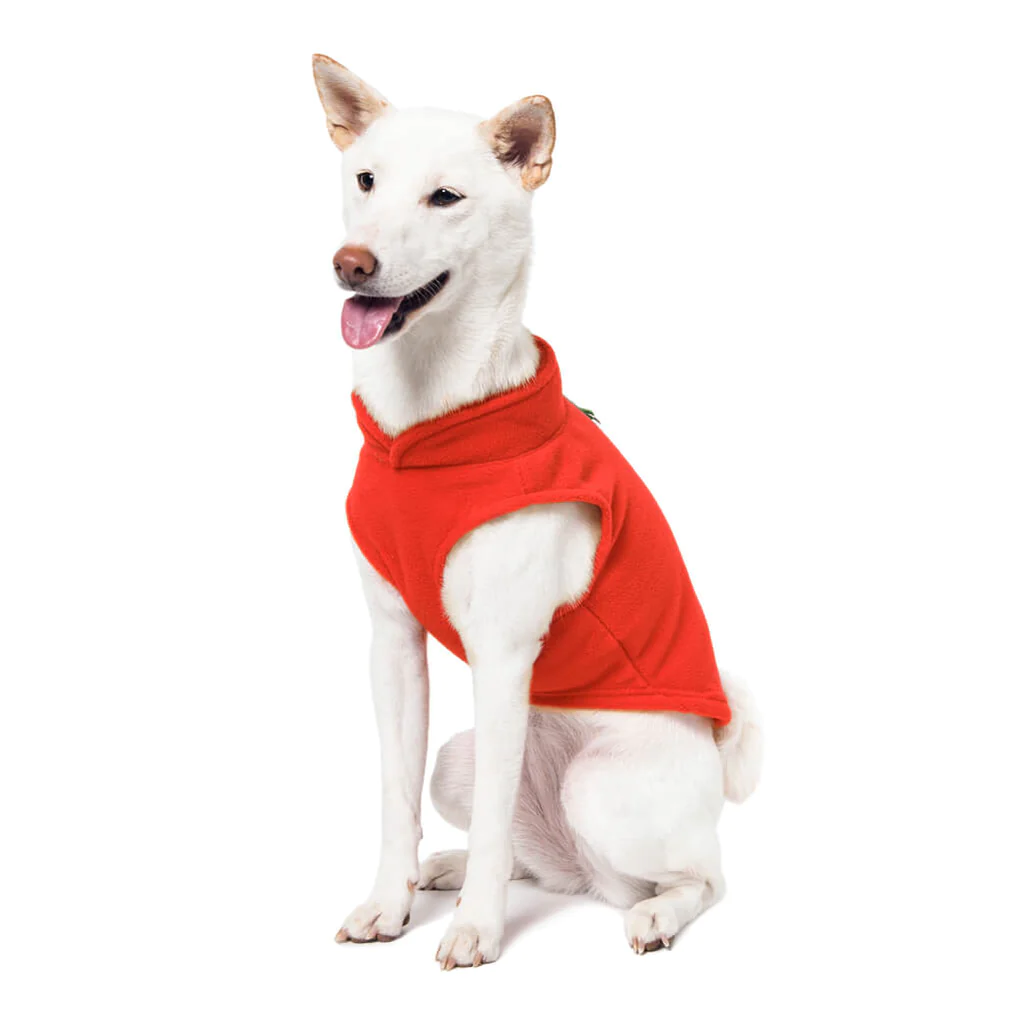 a-shiba-inu-wearing-gooby-pumpkin-fleece-vest-sitting-down-and-smiling-side-45-degrees-view-1024x1024px