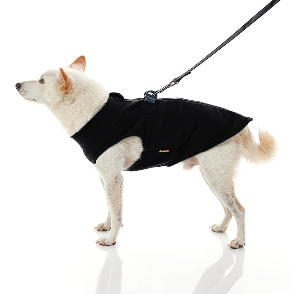 gooby-office-dog-loki-a-white-shiba-inu-wearing-black-zip-up-fleece-vest-with-leash-standing-up-side-view-1024x1024px