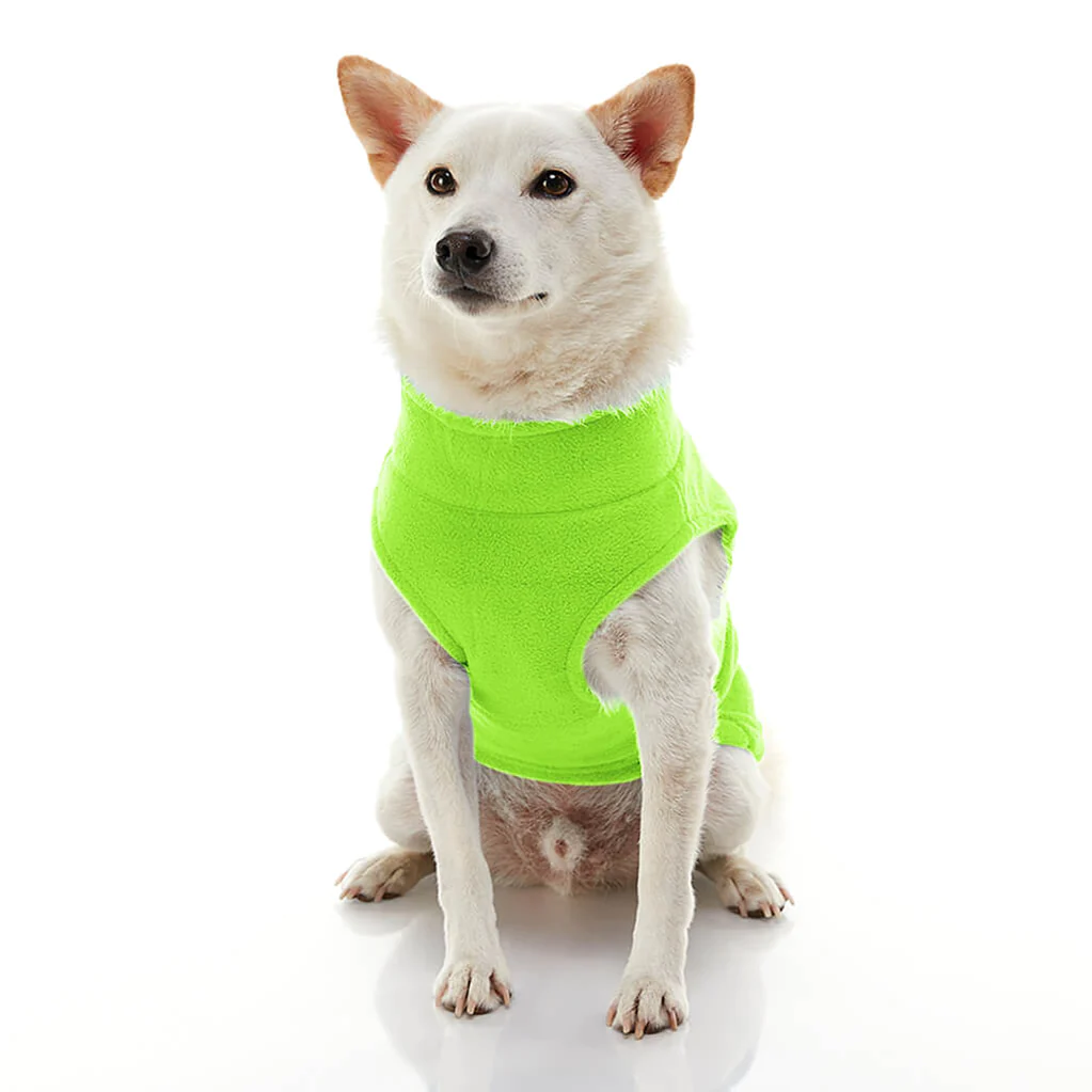 gooby-office-dog-loki-a-white-shiba-inu-wearing-lime-zip-up-fleece-vest-sitting-down-front-view-1024x1024px