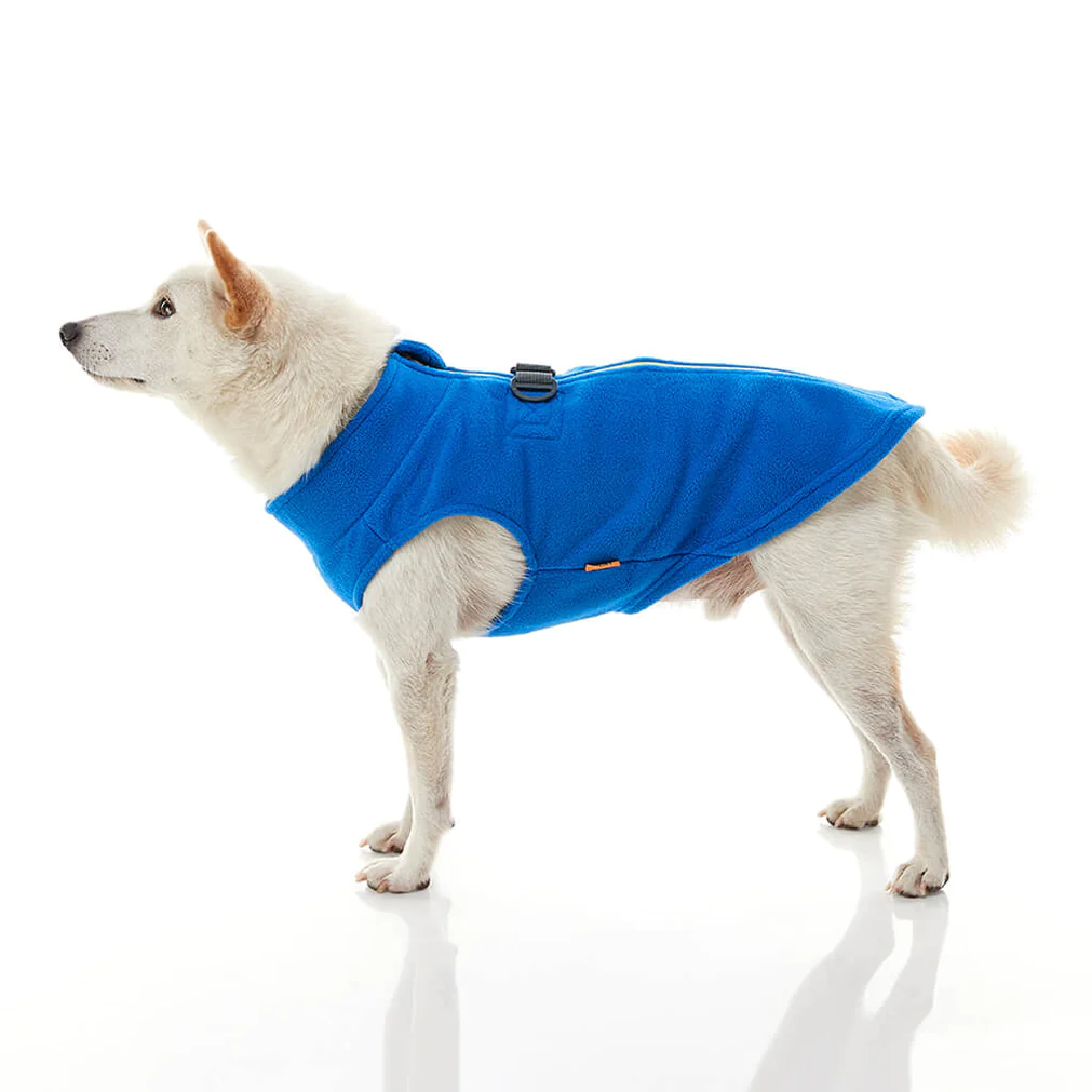 gooby-office-dog-loki-a-white-shiba-inu-wearing-blue-zip-up-fleece-vest-standing-up-side-view-1024x1024px