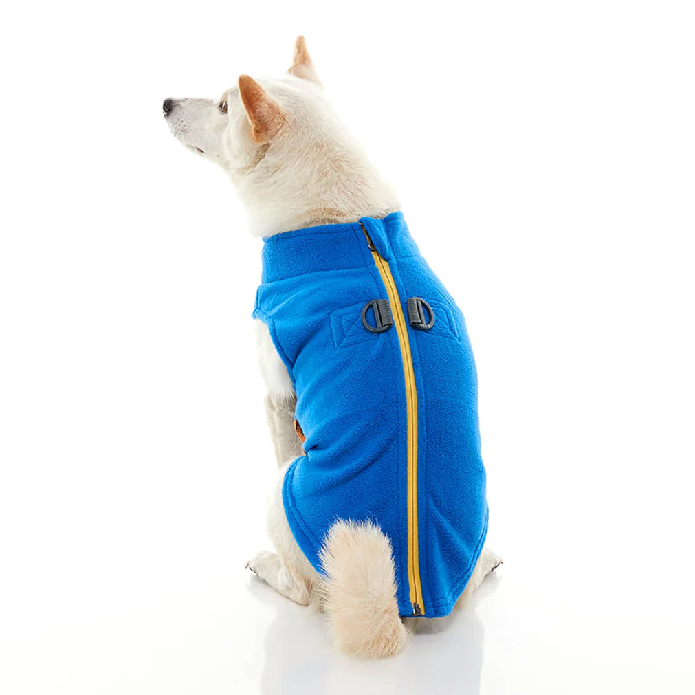 gooby-office-dog-loki-a-white-shiba-inu-wearing-blue-zip-up-fleece-vest-sitting-down-back-view-1024x1024px
