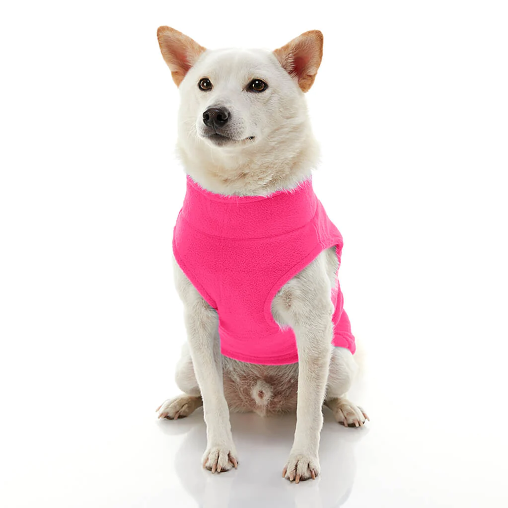 gooby-office-dog-loki-a-white-shiba-inu-wearing-pink-zip-up-fleece-vest-sitting-down-front-view-1024x1024px