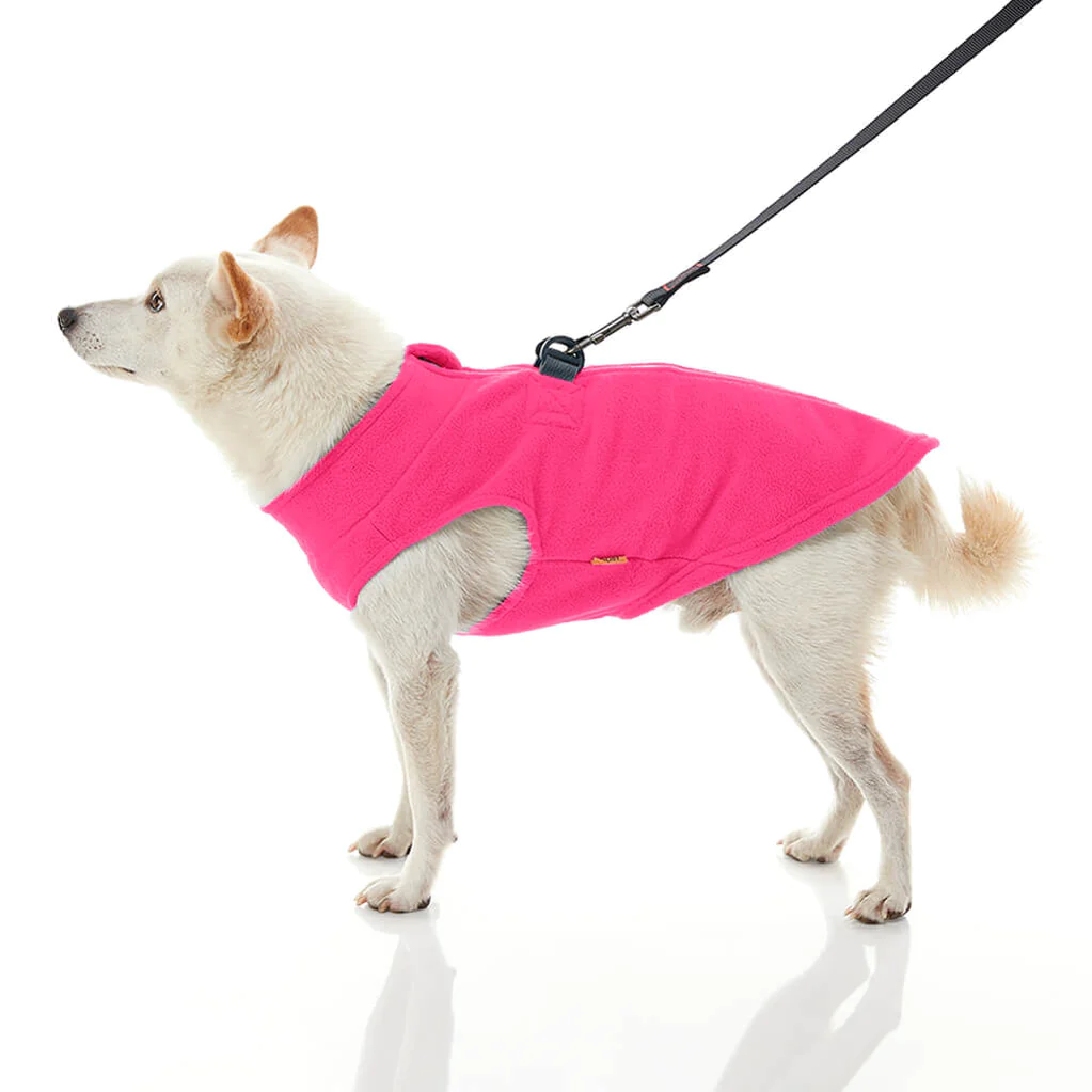 gooby-office-dog-loki-a-white-shiba-inu-wearing-pink-zip-up-fleece-vest-with-leash-standing-up-side-view-1024x1024px