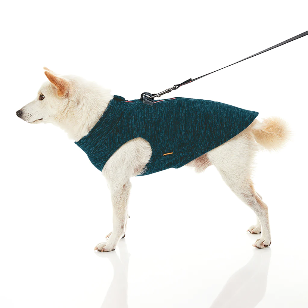gooby-office-dog-loki-a-white-shiba-inu-wearing-turquoise-zip-up-fleece-vest-with-leash-standing-up-down-side-view-1024x1024px