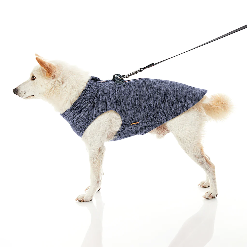 gooby-office-dog-loki-a-white-shiba-inu-wearing-gray-zip-up-fleece-vest-with-leash-standing-up-down-side-view-1024x1024px