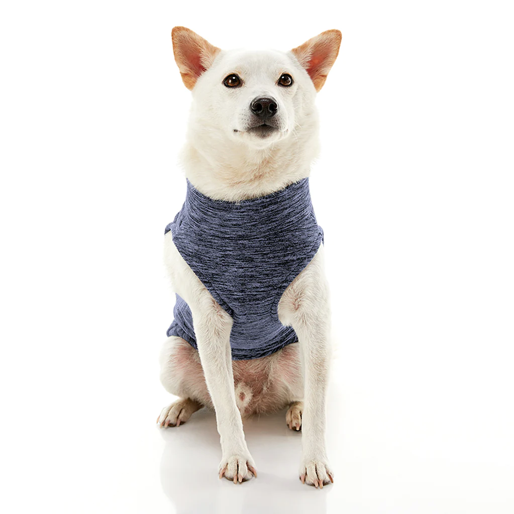gooby-office-dog-loki-a-white-shiba-inu-wearing-gray-zip-up-fleece-vest-sitting-down-front-view-1024x1024px