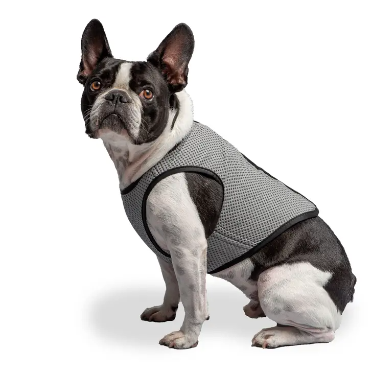 Gilet rafraîchissant pour chien US Army - GF Pet