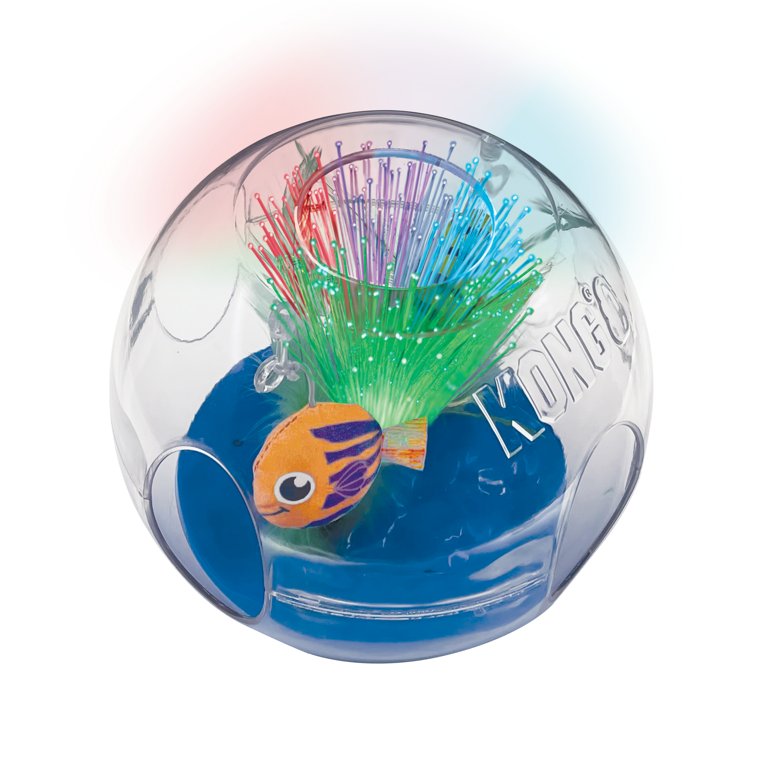 imageAquarium
