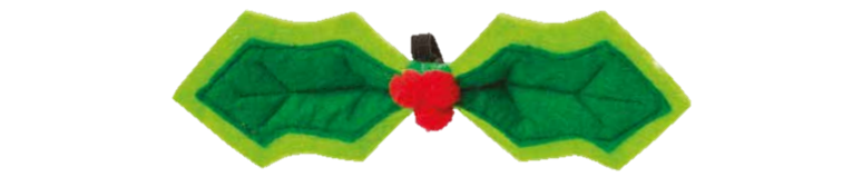 Image16