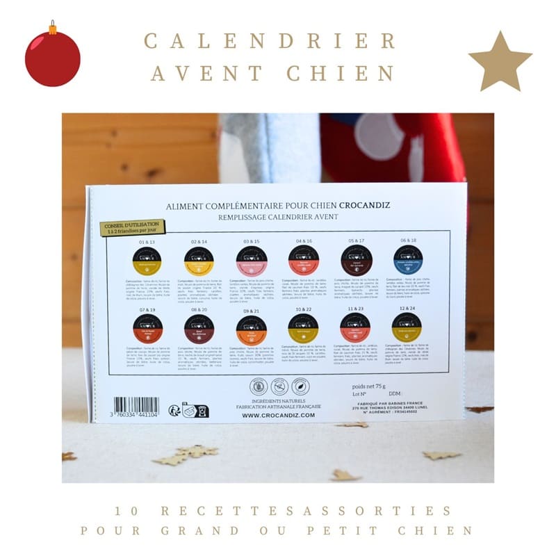 remplissage-calendrier-avent-chien-Crocandiz