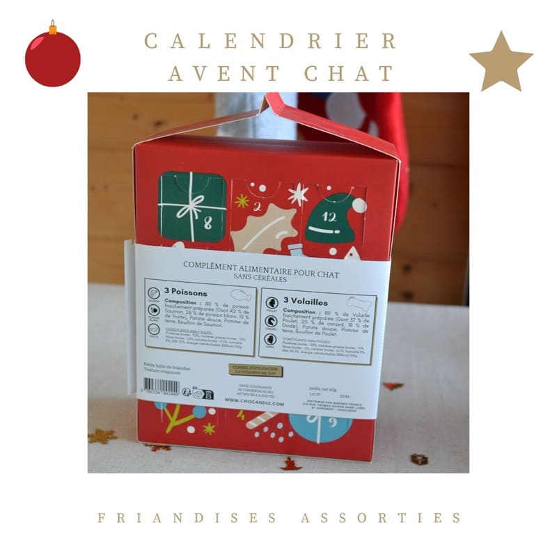 remplissage-calendrier-avent-chat-Crocandiz