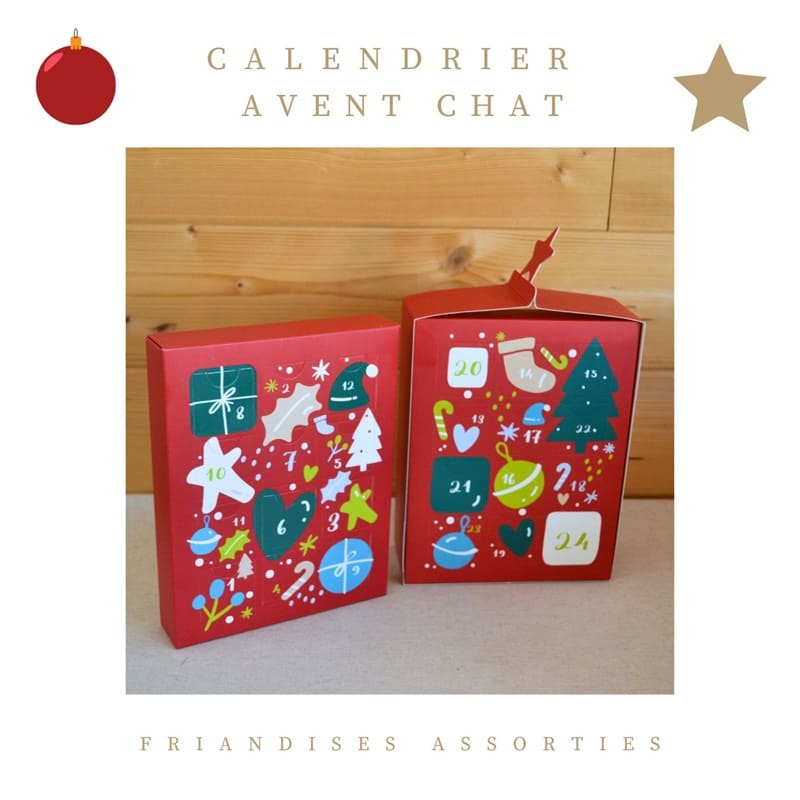 calendrier-chat-Crocandiz