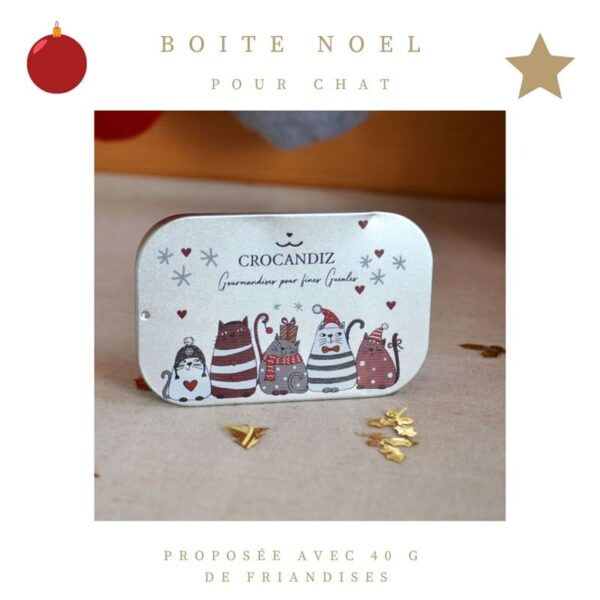 Boite-argent-chat-Noel-600x600