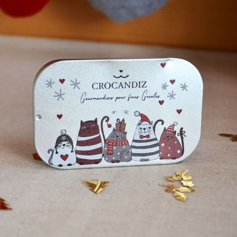 boite-chats-noel