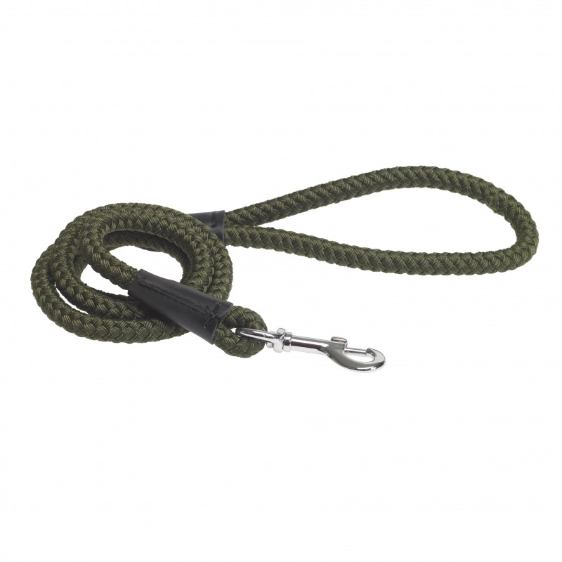 laisse-simple-en-sangle-nylon