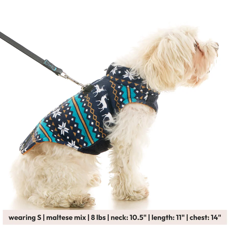 72116-nala-a-maltese-mix-wearing-zip-up-deer-blue-sitting-down-with-leash-side-view-measurement-2048x2048px-tinified
