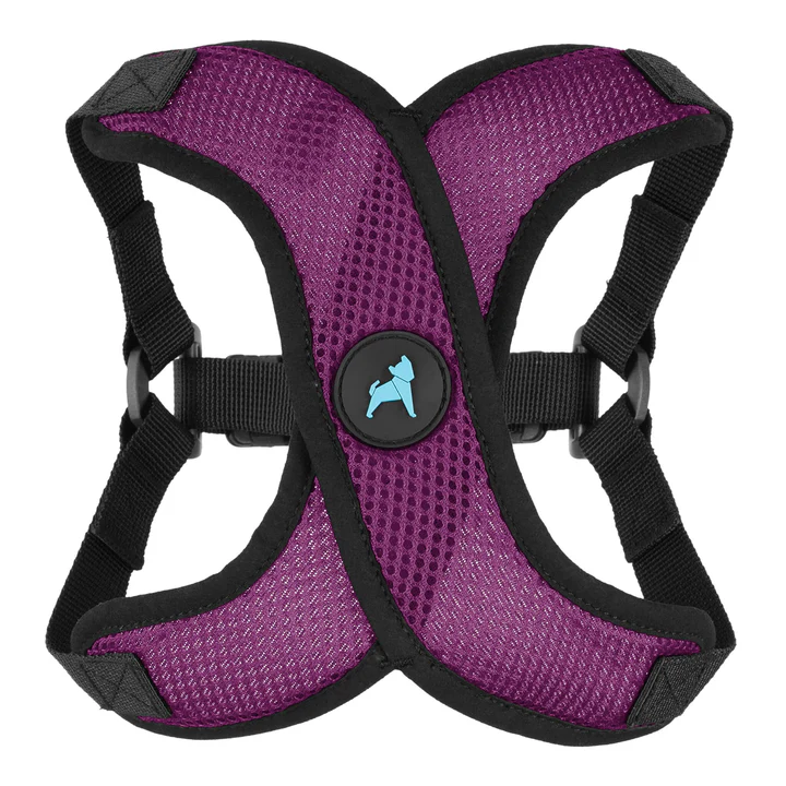 04234-comfort-x-step-in-lite-purple-front-view-2048x2048px-tinified