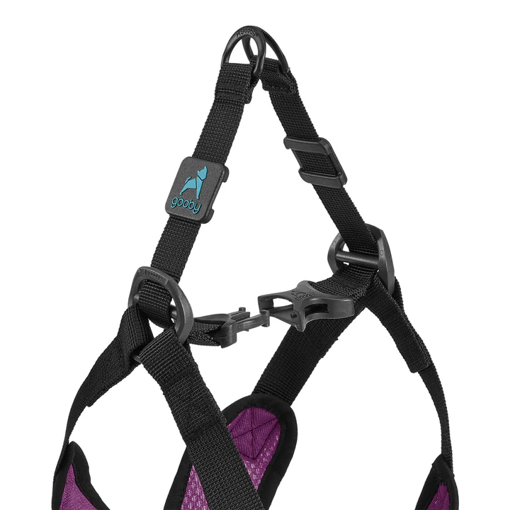 04234-comfort-x-step-in-lite-purple-detail-view-buckle-2048x2048px-tinified