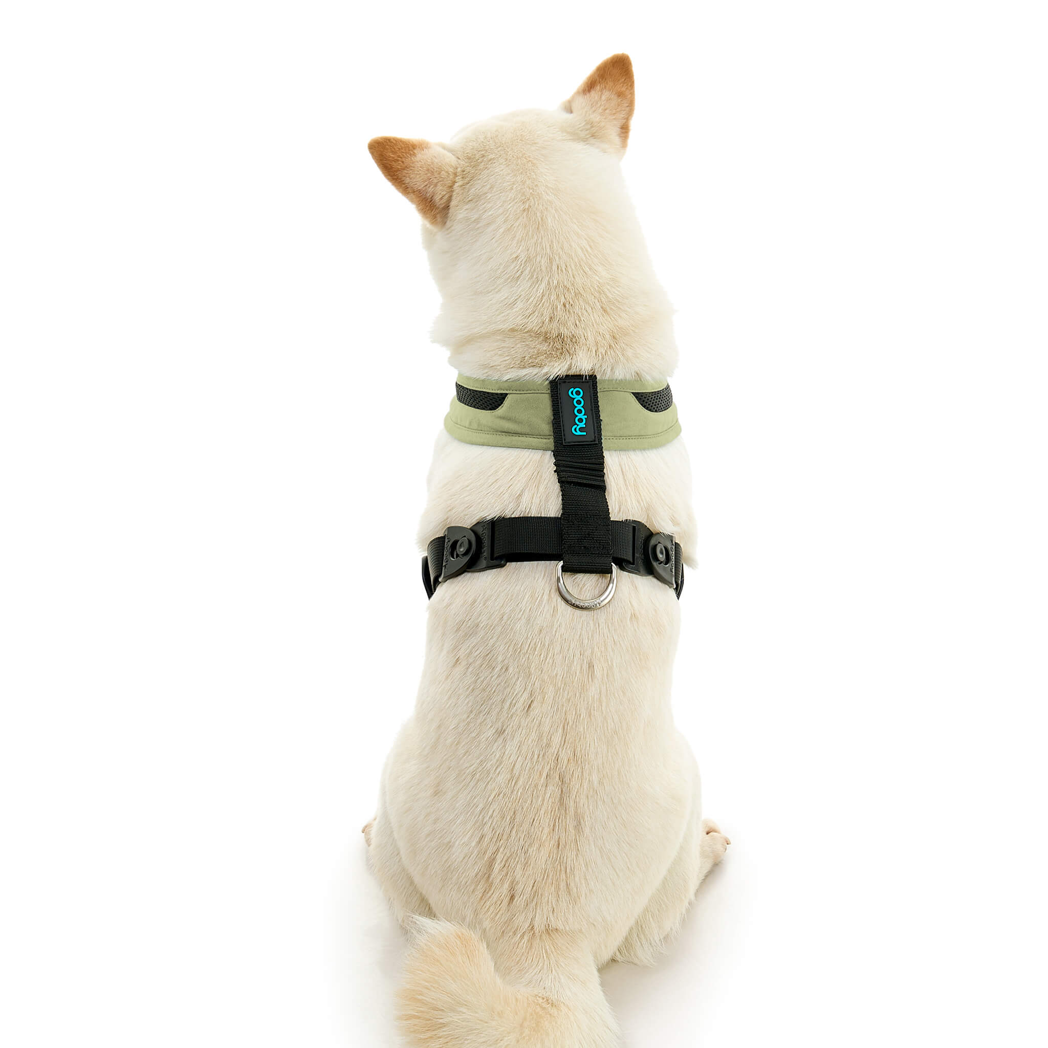 gooby-office-dog-loki-a-shiba-inu-sitting-wearing-escape-free-comfort-x-one-in-portland-green-back-view-2048x2048px