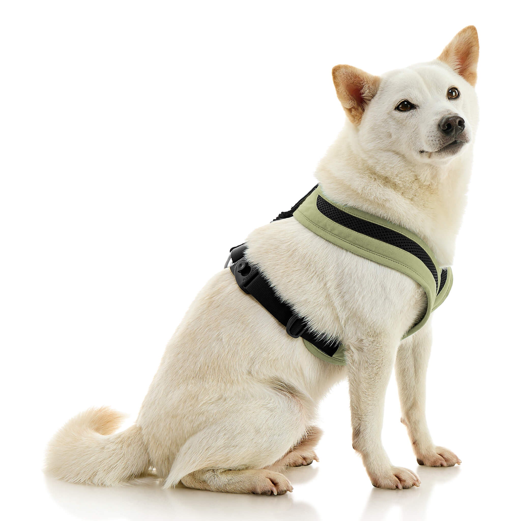 gooby-office-dog-loki-a-shiba-inu-sitting-wearing-escape-free-comfort-x-one-in-portland-green-side-view-2048x2048px