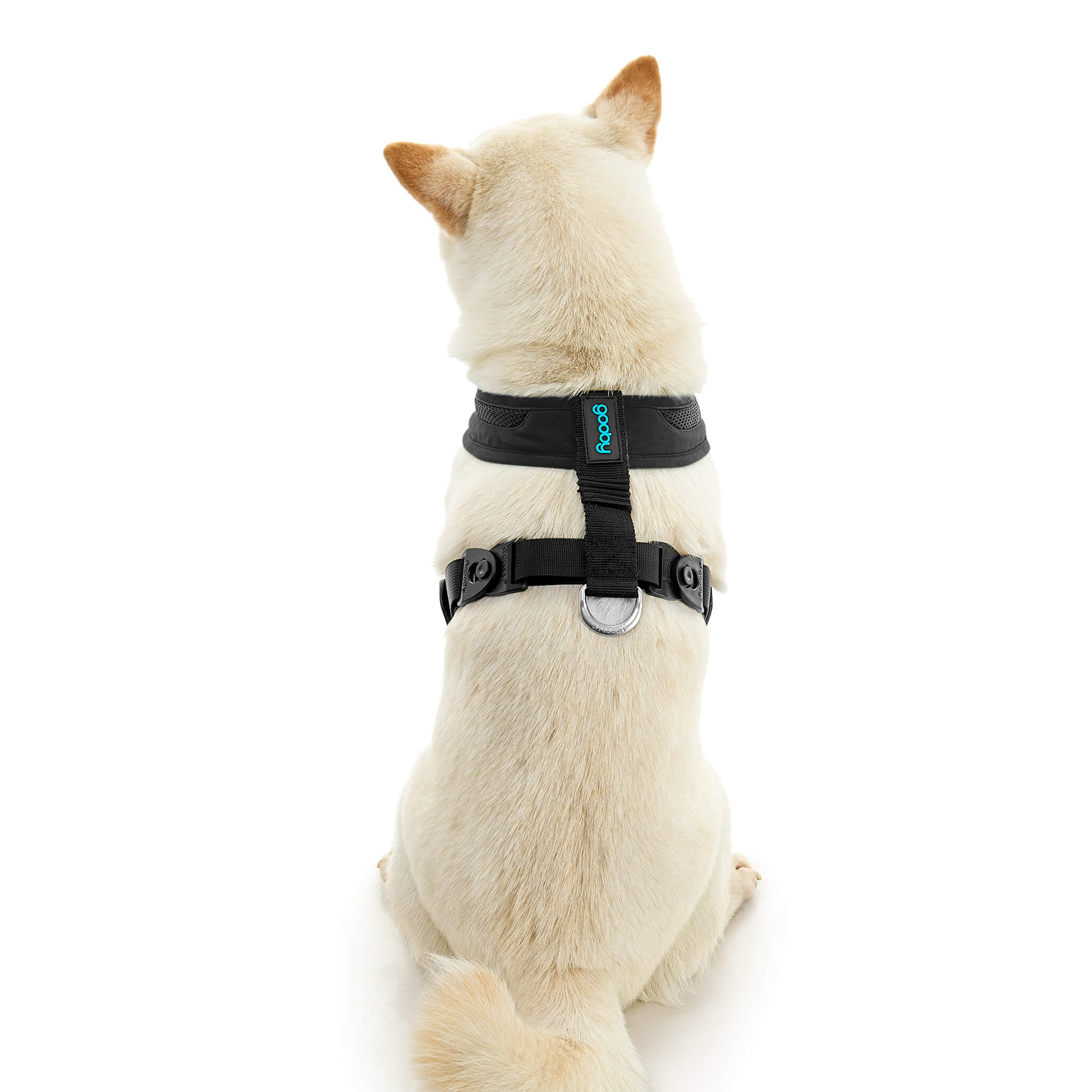 gooby-office-dog-loki-a-shiba-inu-sitting-wearing-escape-free-comfort-x-one-in-black-back-view-2048x2048px-tinified