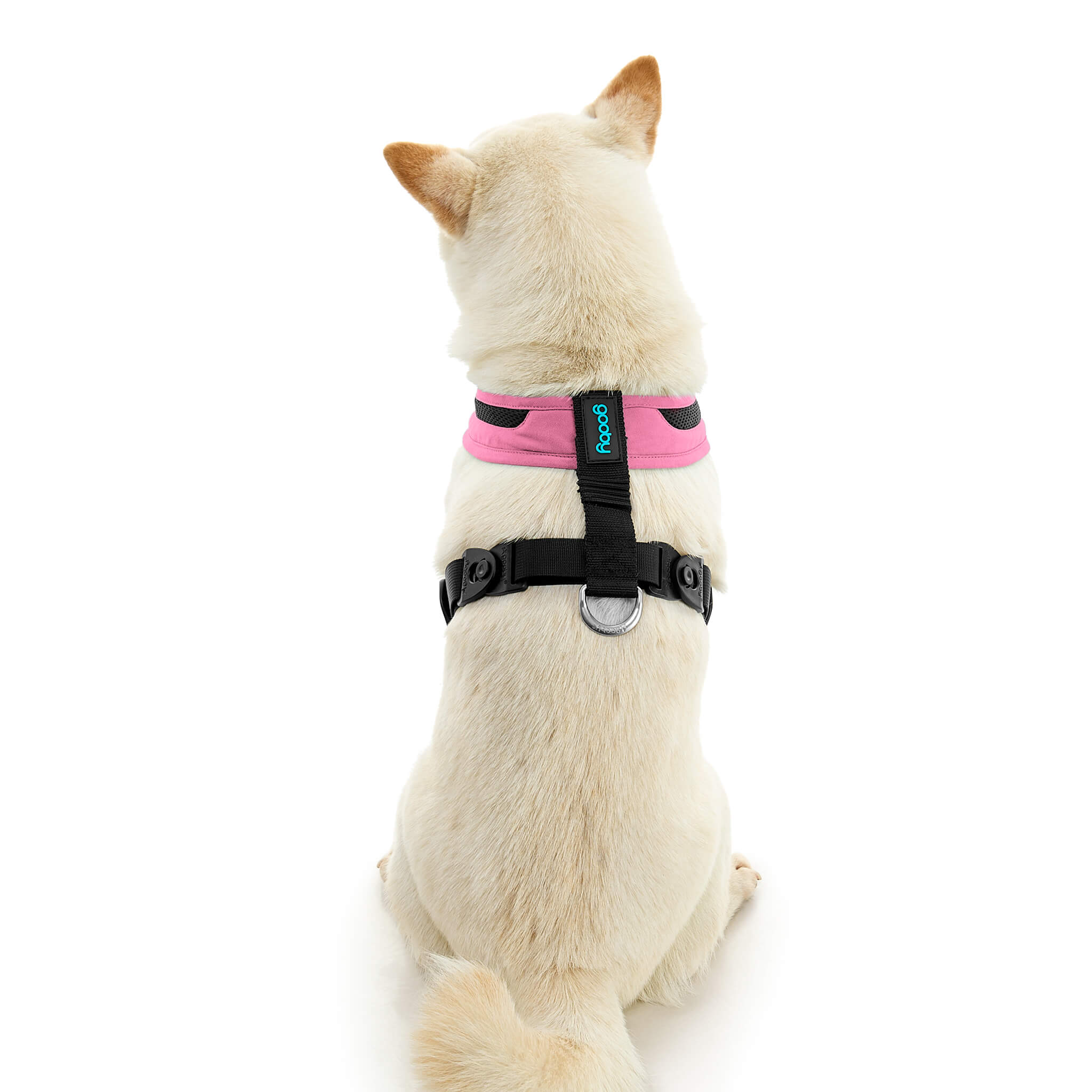 gooby-office-dog-loki-a-shiba-inu-sitting-wearing-escape-free-comfort-x-one-in-flamingo-pink-back-view-2048x2048px-tinified