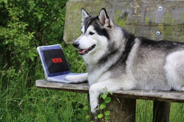 petflix3