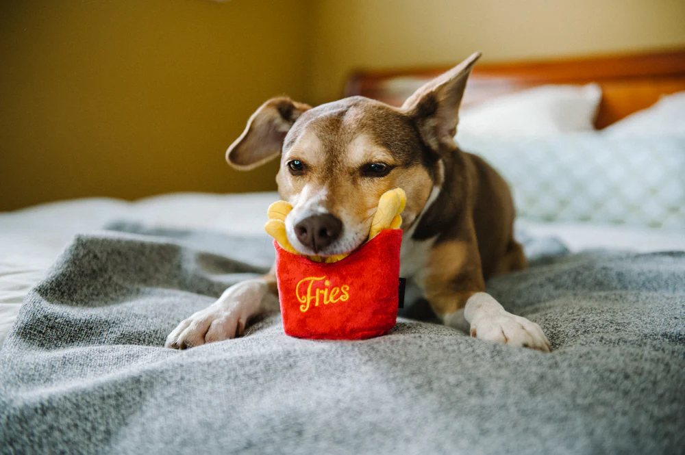 AmericanClassicFrenchieFriesbyP.L.A.Y.2