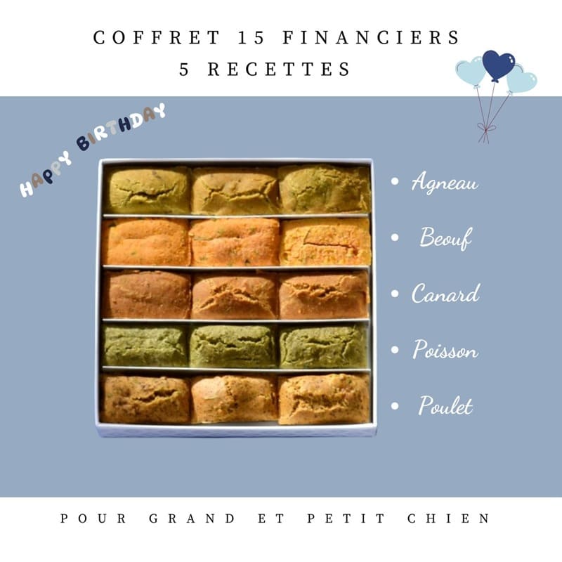 composition-Coffret-anniversaire-chien-crocandiz-