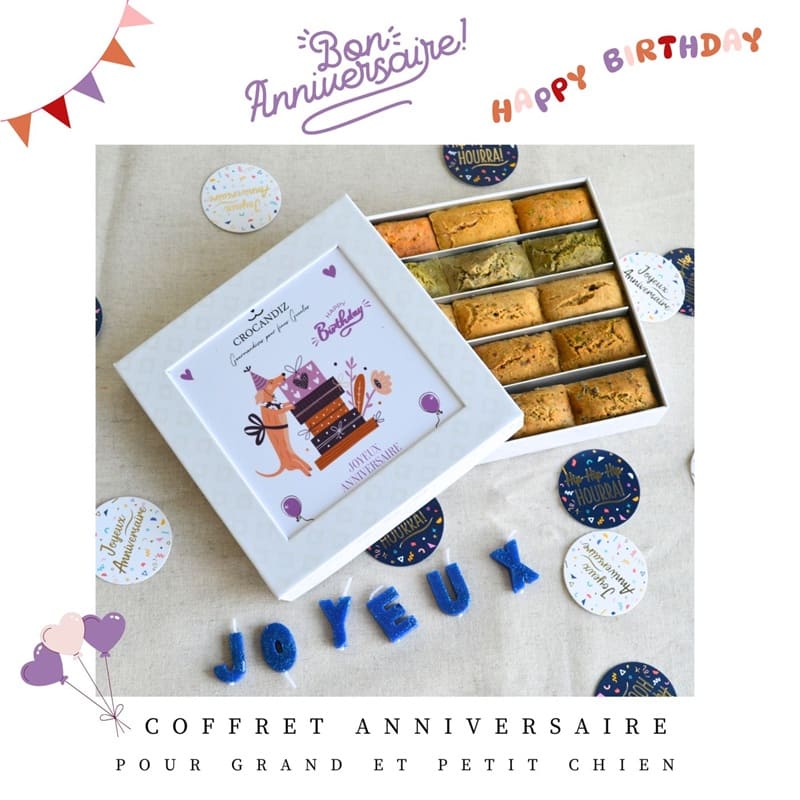 Coffret-anniviversaire-chien-crocandiz-3-