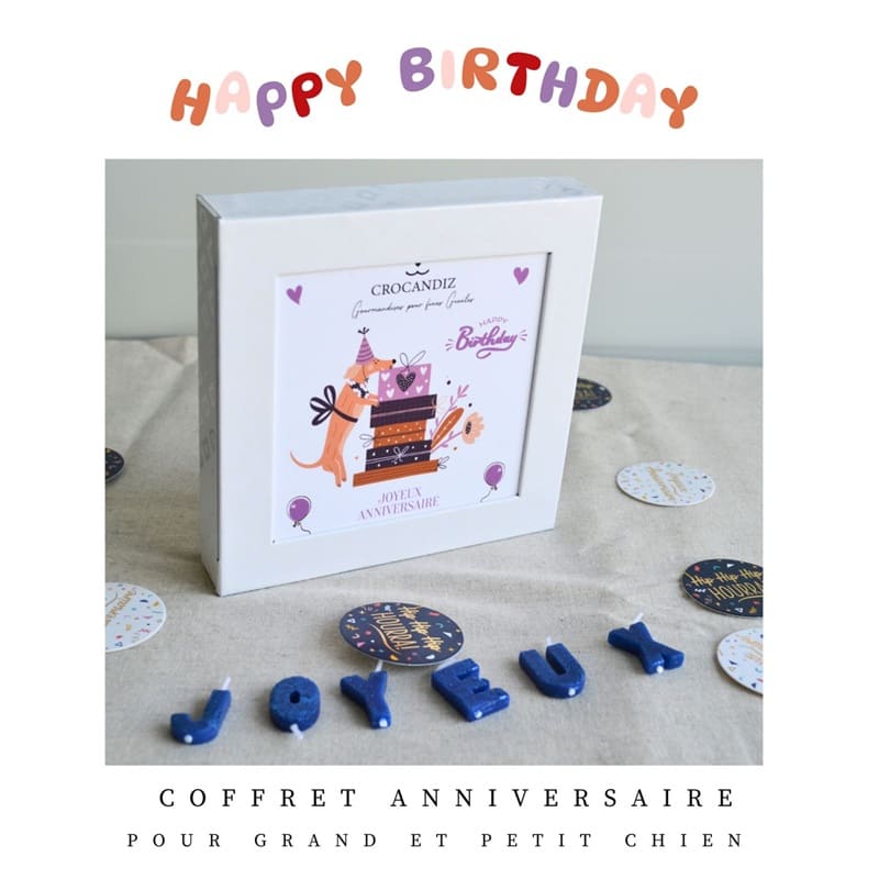Coffret-anniversaire-chien-crocandiz-chien-visuel-3