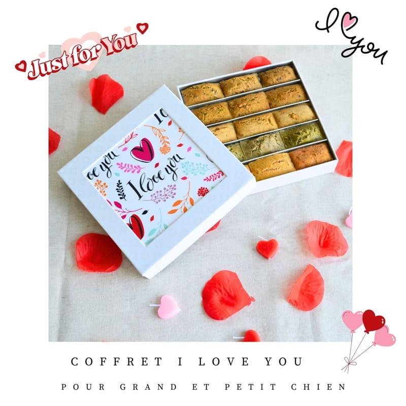 Coffret-cadeau-Chien-Crocandiz-I-love-you