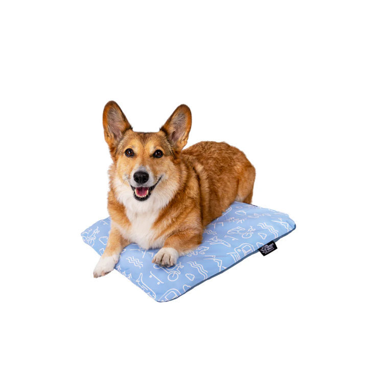 Blue_S_Sleeper_Amazon_01