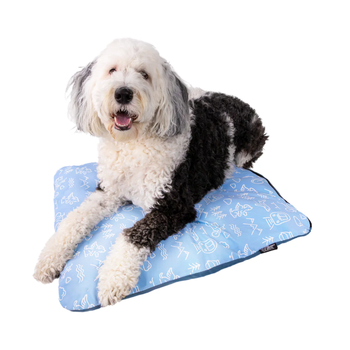 Blue_L_Sleeper_Amazon_01
