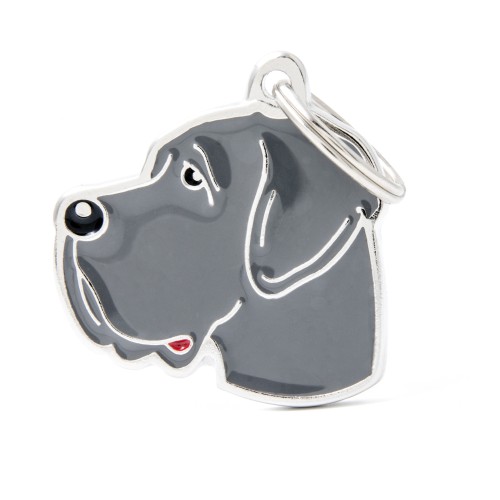 medaille-friends-gran-danes-bleu