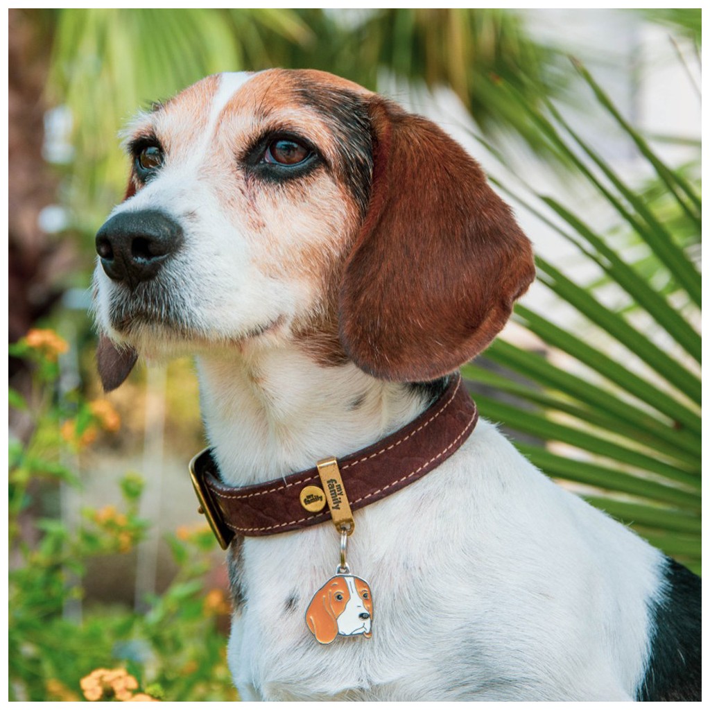 medaille-friends-beagle (2)