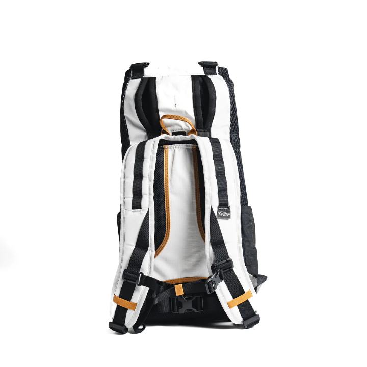 ArticBack