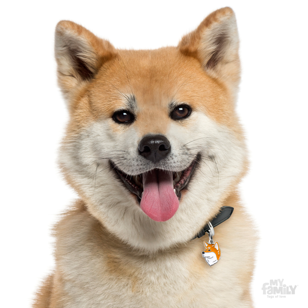 0026948_akita-inu-dog-tag