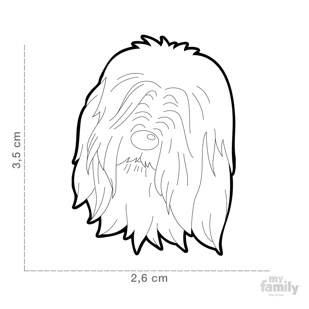 0026933_bearded-collie-dog-tags