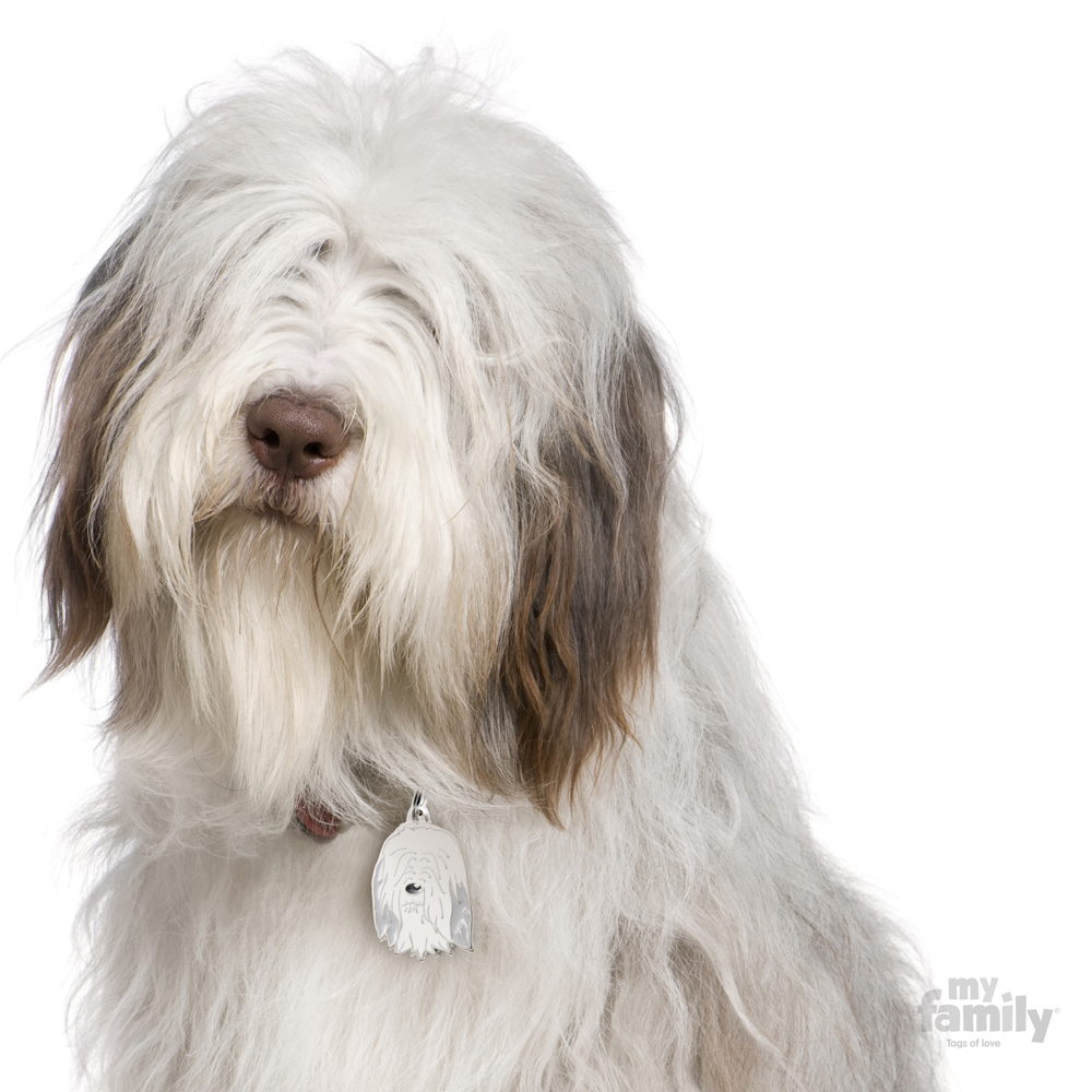 0026932_bearded-collie-dog-tags