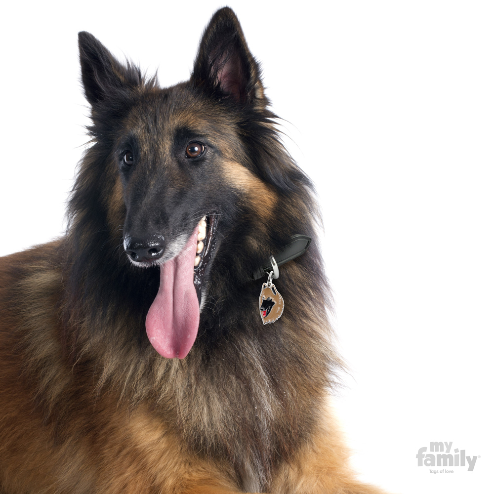 0026912_belgian-shepherd-dog-tag