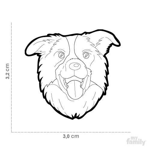 0029339_border-collie-id-dog-tag