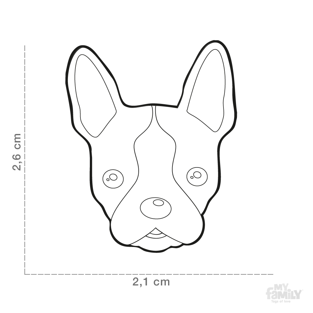 0027384_boston-terrier-dog-tag