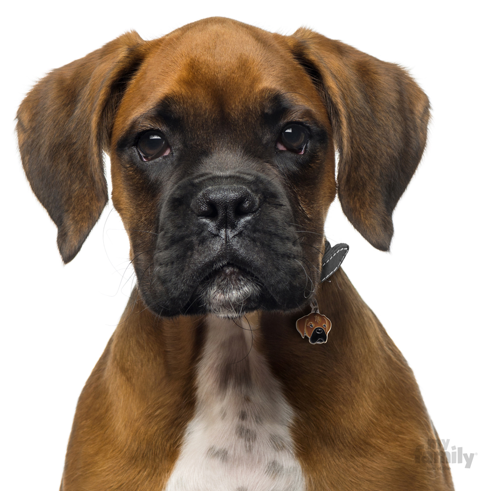 0027650_brindle-boxer-id-dog-tag