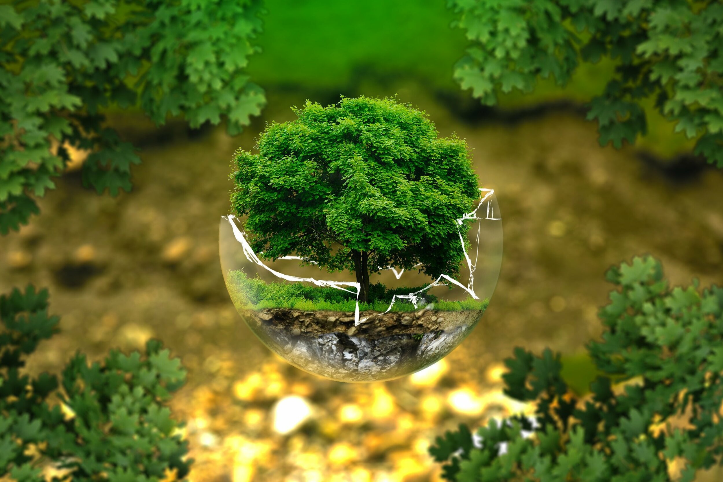 andreasaux environmental protection 326923