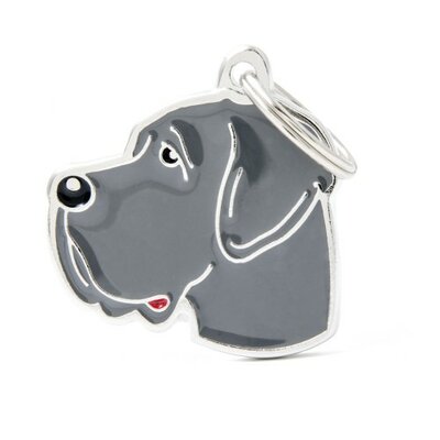 medaille-friends-gran-danes-bleu