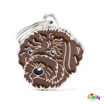 0027705_brown-lagotto-romagnolo-id-dog-tag