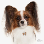 0026877_papillon-dog-tag