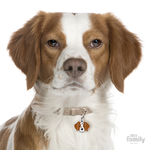 0026867_brittany-dog-tag