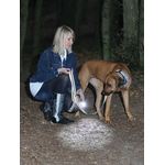 dog-e-lite_07